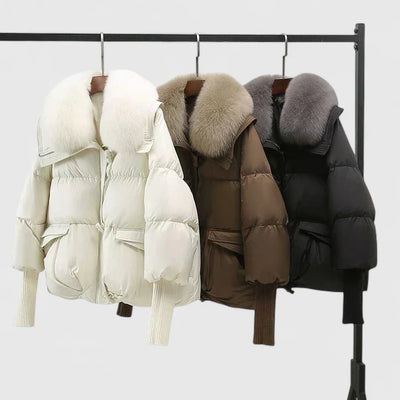 Kate's Boutique| Comfortable Jacket