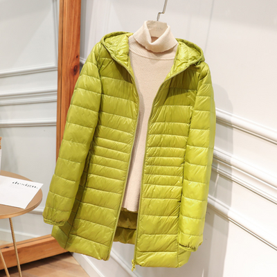 Kate’s Boutique Jacket
